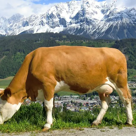 Spreitzhof - Апартаменты