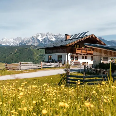 Spreitzhof - アパート シュラートミンク