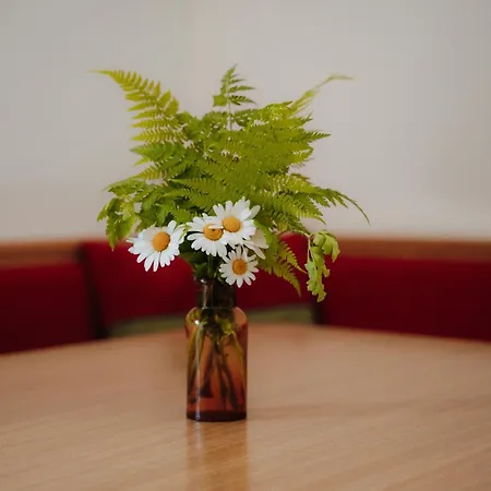 アパート Spreitzhof - シュラートミンク