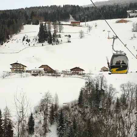 Spreitzhof - アパート シュラートミンク