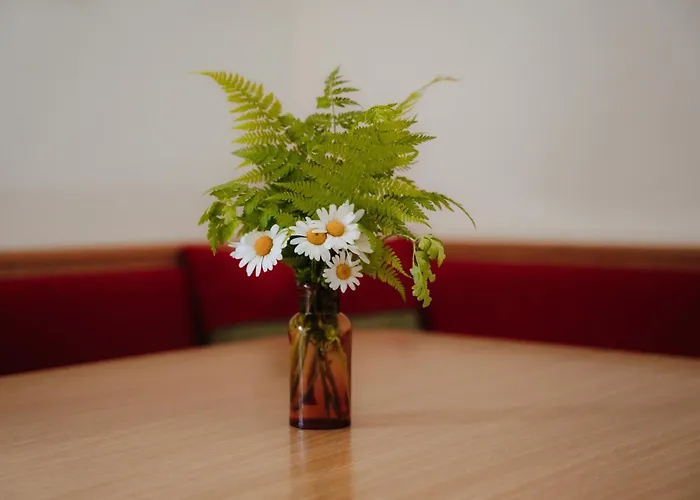 Daire Spreitzhof - Schladming